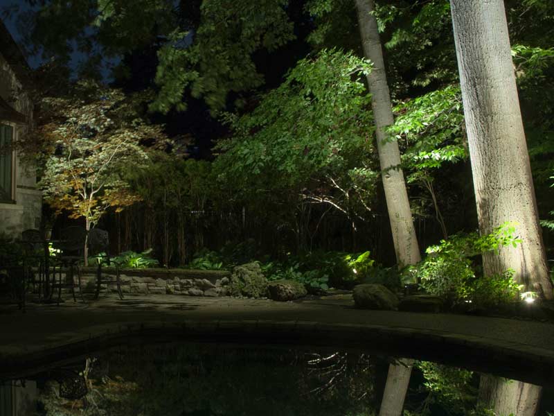 outdoor tree and pond lighting