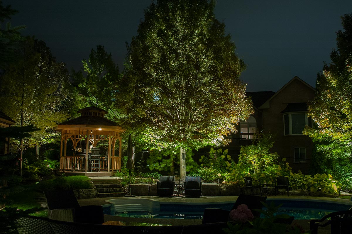 outdoor lighting with trees
