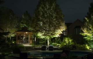 outdoor tree lighting at night