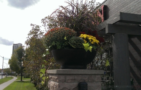 seasonal planters outside of a restaurant