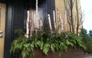 decretive winter planter with birch branches and cedar leaves