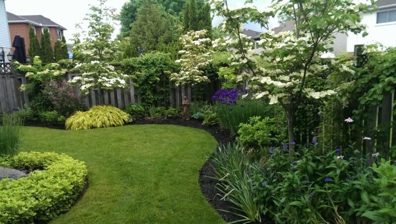 lush backyard and garden