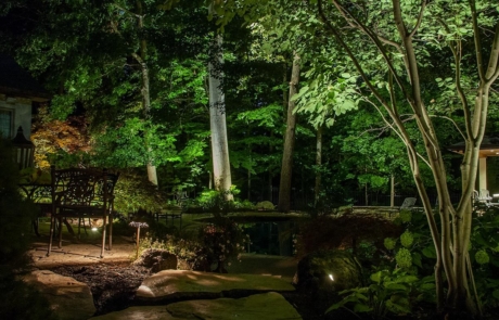 Illuminated pool & trees