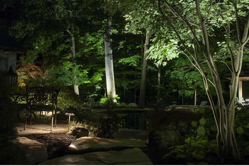 Professional Backyard Ravine Lighting in Burlington Ontario