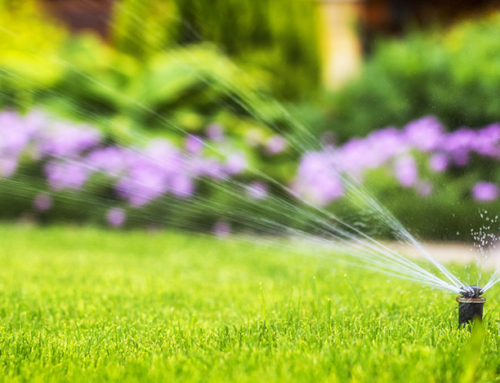 THE IMPORTANCE OF LANDSCAPE IRRIGATION, INSTALLATION AND MAINTENANCE